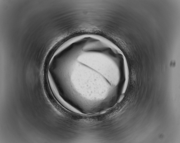 X0000099560630200806061540