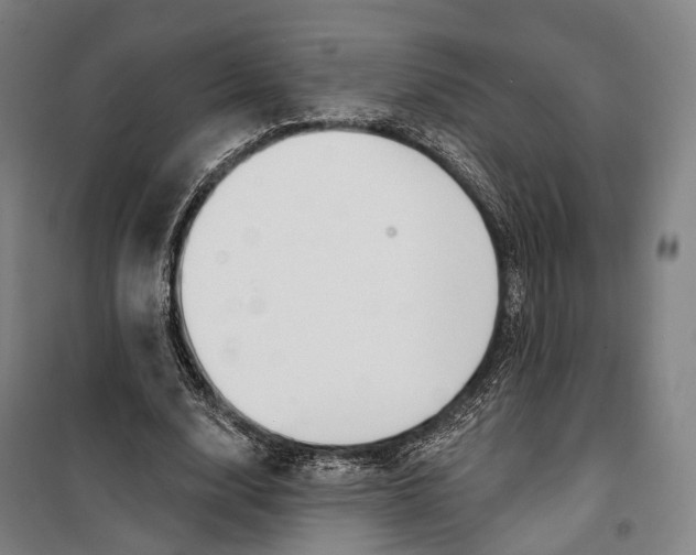 X0000099560632200806061540