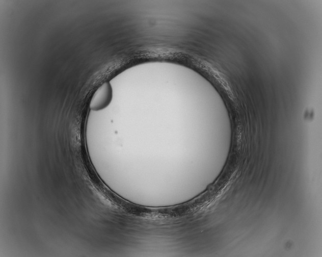 X0000099560633200806061540