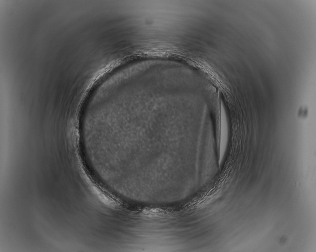 X0000099560634200806061540