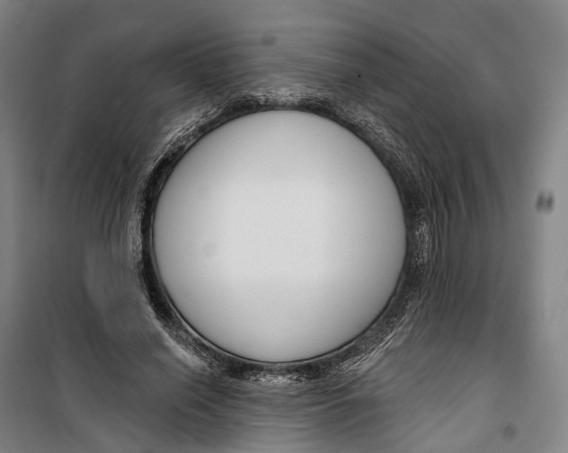 X0000099560638200806061540