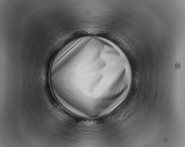 X0000099560639200806061540