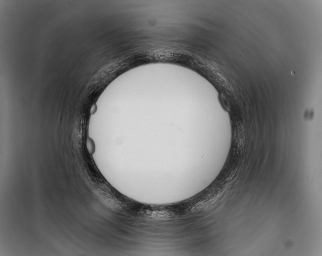 X0000099560645200806061540