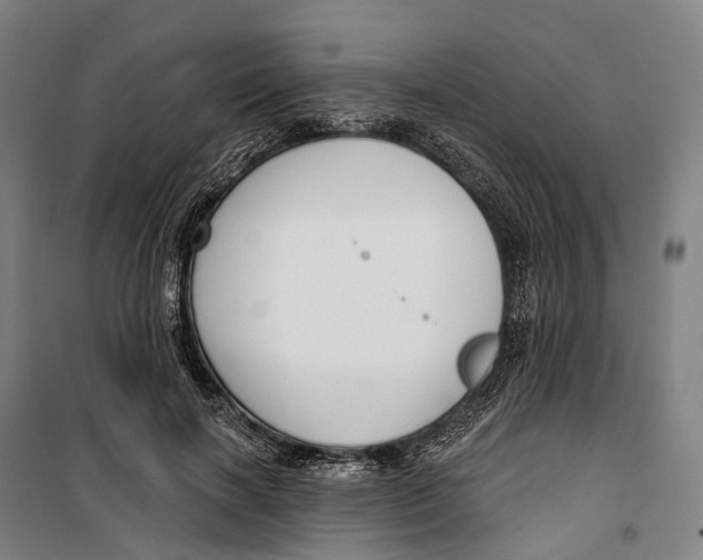 X0000099560646200806061540