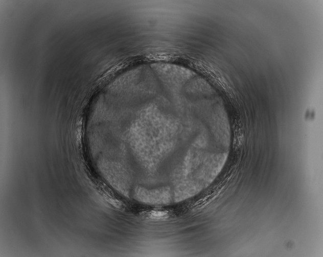 X0000099560647200806061540