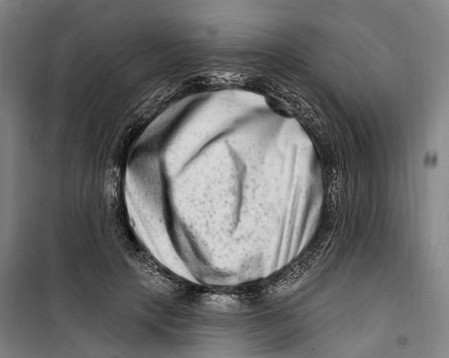 X0000099560649200806061540