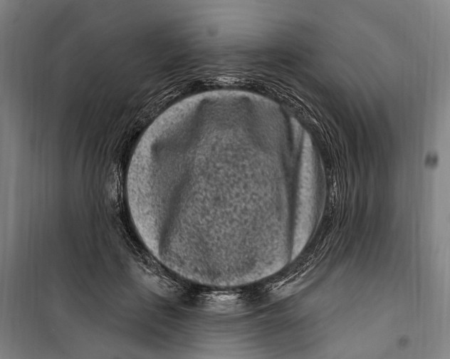 X0000099560651200806061541