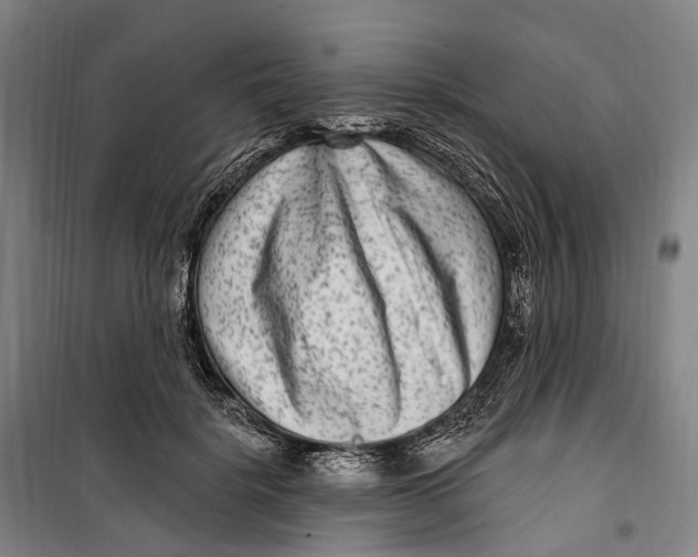 X0000099560652200806061541