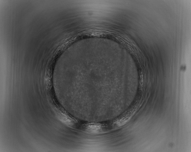 X0000099560653200806061541