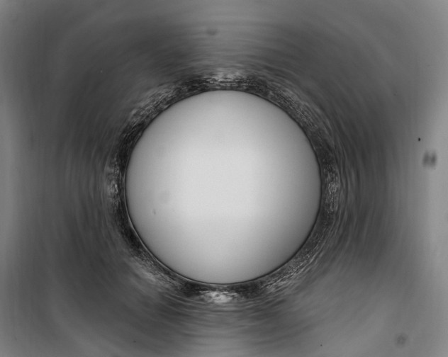 X0000099560654200806061541