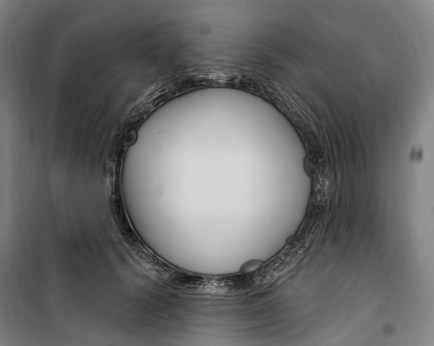 X0000099560656200806061541