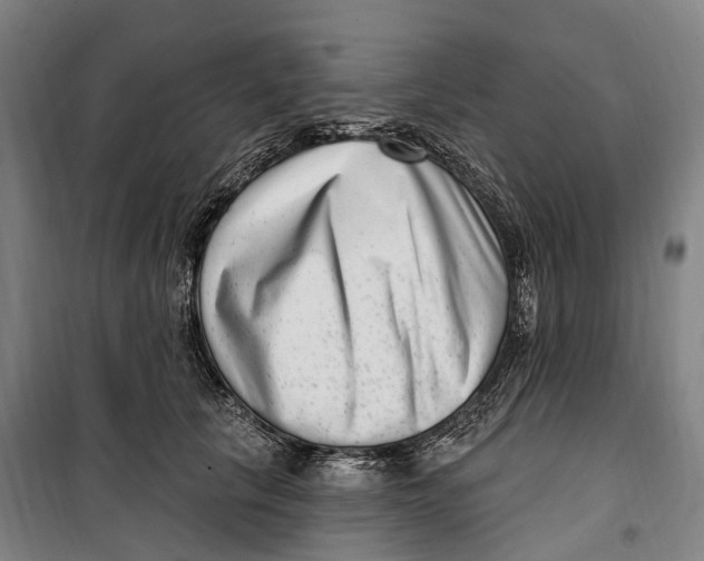 X0000099560657200806061541