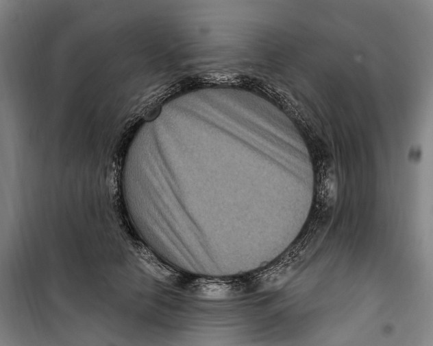 X0000099560658200806061541