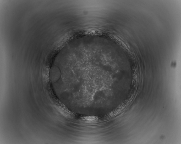 X0000099560659200806061541