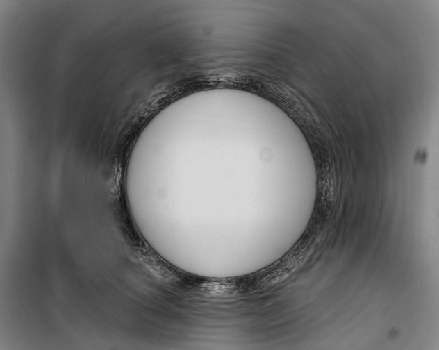 X0000099560660200806061541