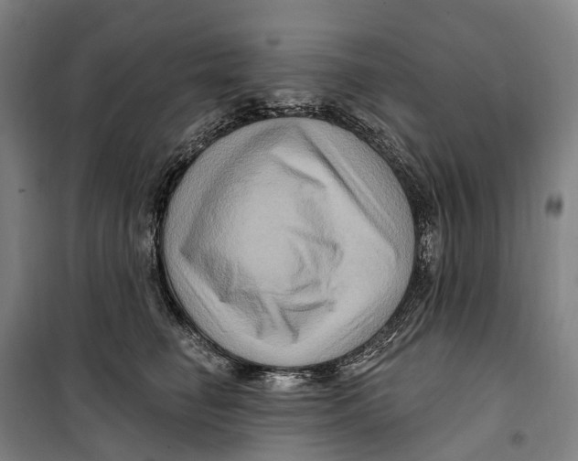 X0000099560662200806061541