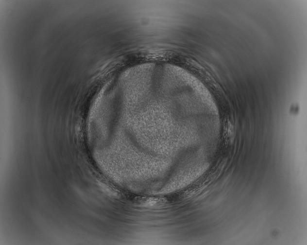 X0000099560663200806061541