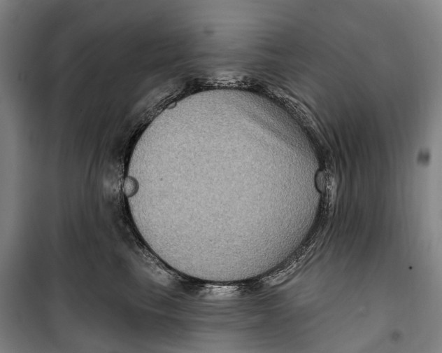 X0000099560665200806061541