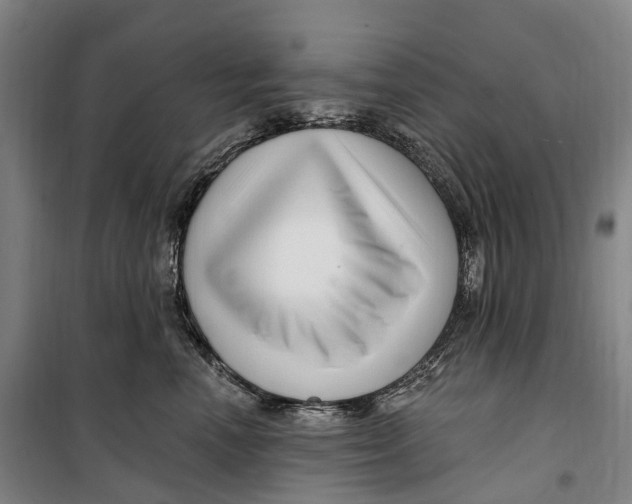 X0000099560666200806061541