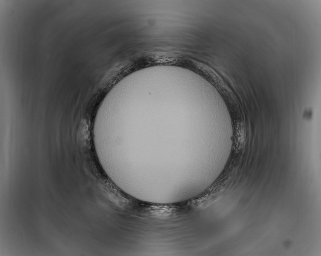 X0000099560667200806061541