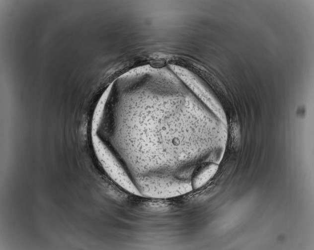 X0000099560668200806061541