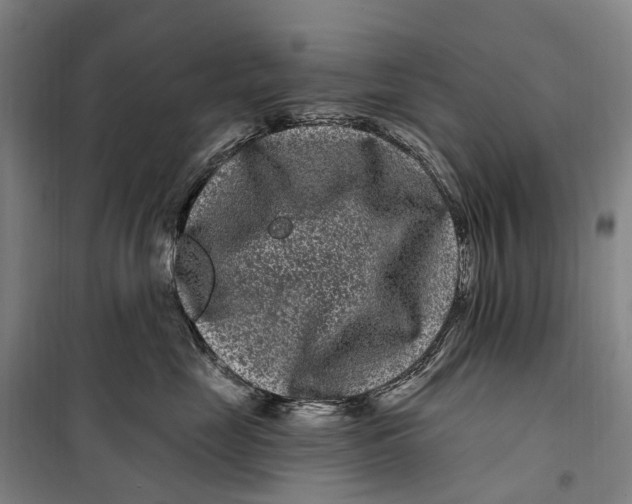 X0000099560669200806061541