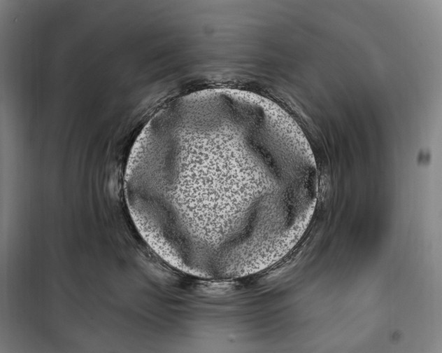 X0000099560671200806061541