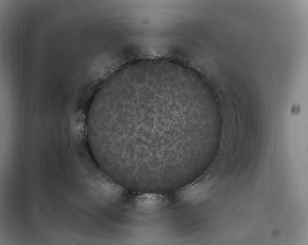 X0000099560672200806061541