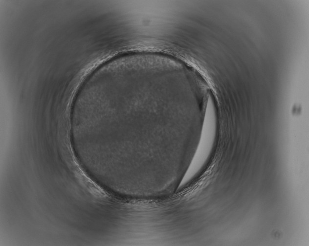 X0000099560673200806061540