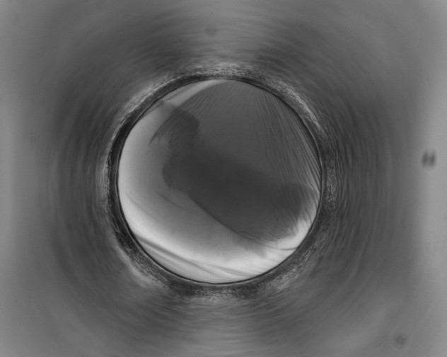 X0000099560674200806061540