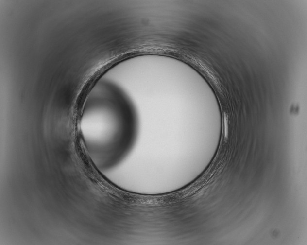 X0000099560675200806061540