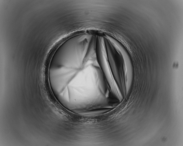 X0000099560676200806061540