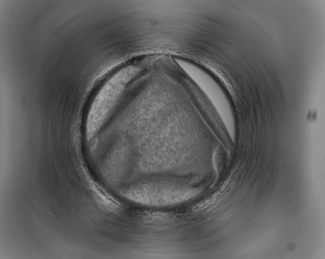 X0000099560677200806061540