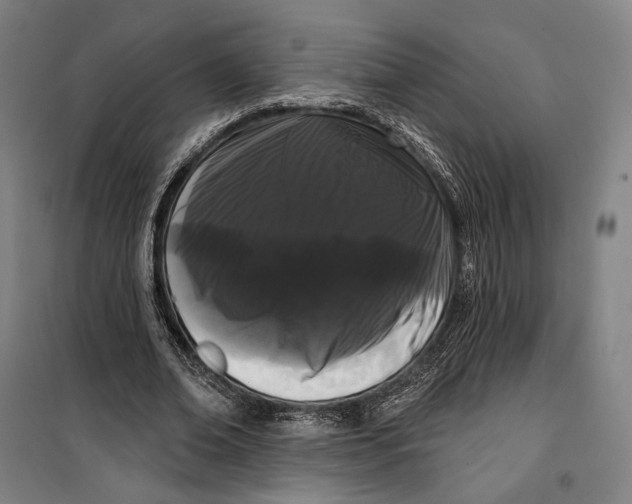 X0000099560678200806061540