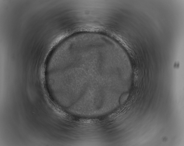 X0000099560679200806061540