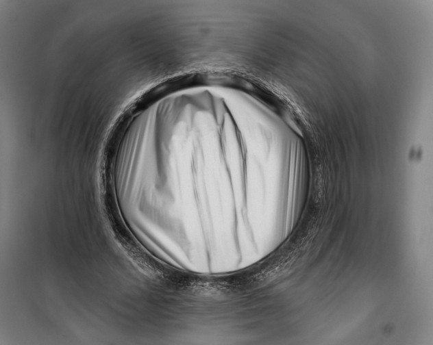 X0000099560680200806061540