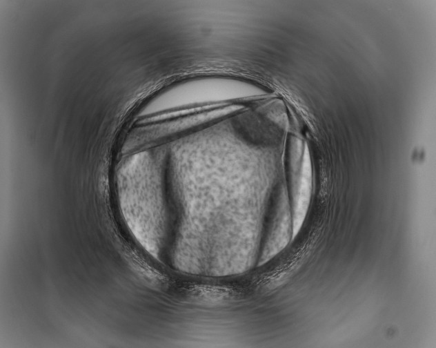 X0000099560681200806061540