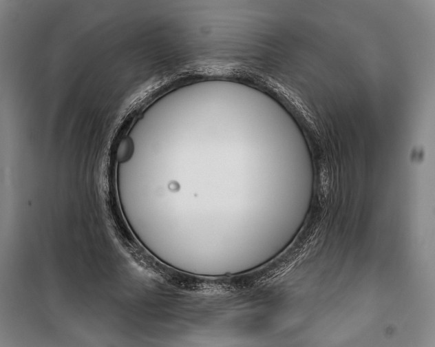 X0000099560682200806061540