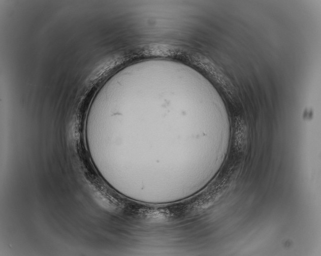 X0000099560683200806061540