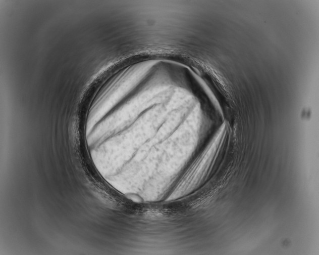 X0000099560684200806061540