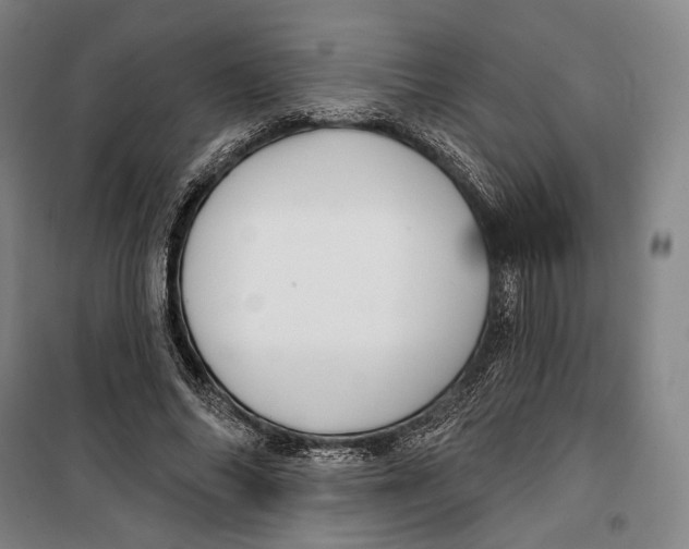 X0000099560686200806061540