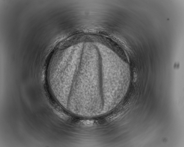 X0000099560687200806061540