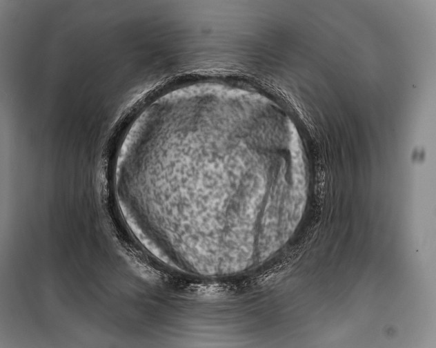 X0000099560688200806061540