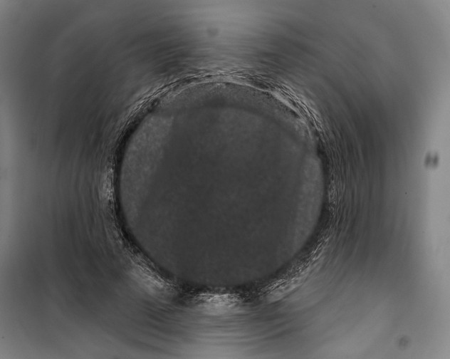 X0000099560689200806061540