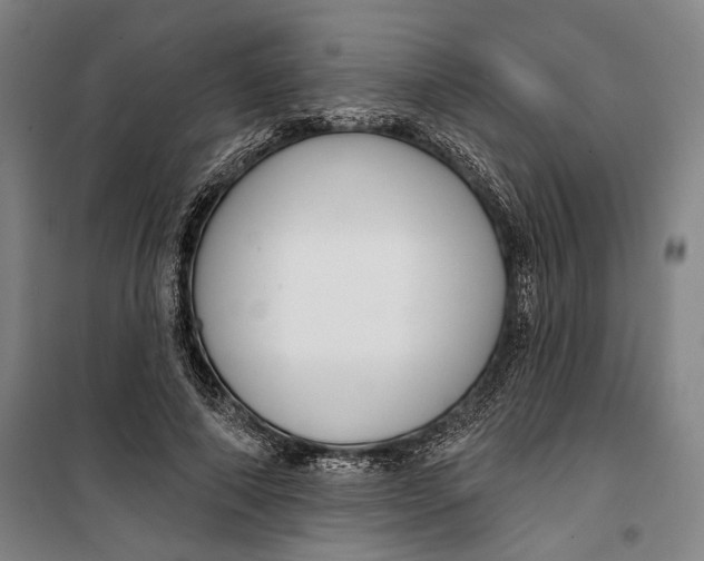 X0000099560690200806061540