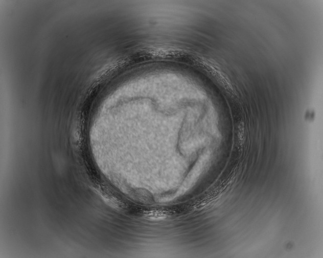 X0000099560691200806061540