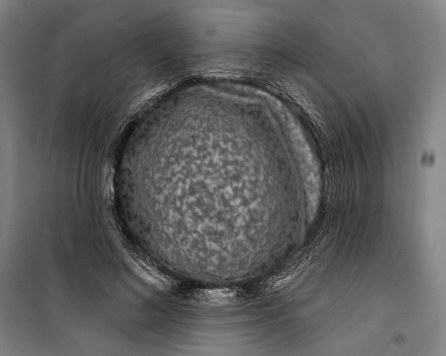 X0000099560692200806061540