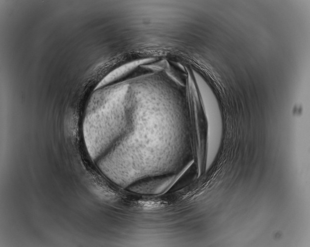 X0000099560693200806061540