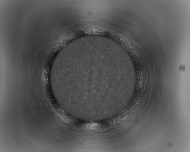 X0000099560695200806061540