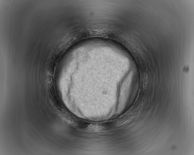 X0000099560699200806061540